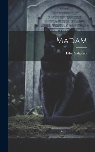 Cover image for Madam