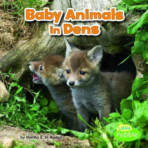 Cover image for Baby Animals in Dens (Baby Animals and Their Homes)