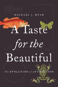 Cover image for A Taste for the Beautiful: The Evolution of Attraction