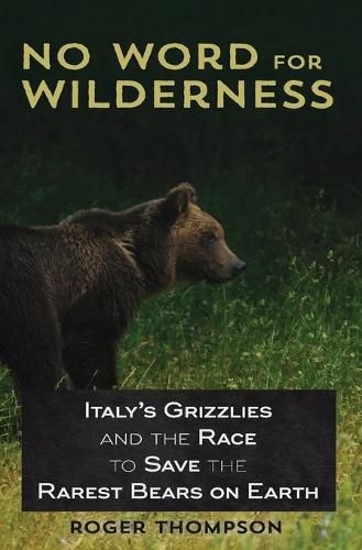 Cover image for No Word for Wilderness: Italy's Grizzlies and the Race to Save the Rarest Bears on Earth