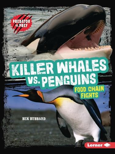 Killer Whales vs. Penguins