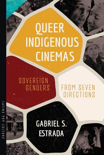 Cover image for Queer Indigenous Cinemas