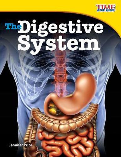 Cover image for The Digestive System