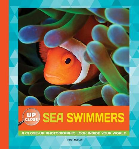 Cover image for Sea Swimmers: A Close-Up Photographic Look Inside Your World