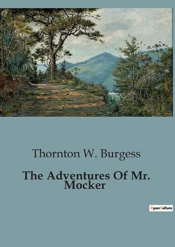 Cover image for The Adventures Of Mr. Mocker