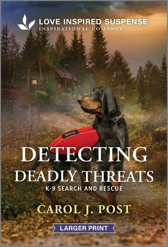 Cover image for Detecting Deadly Threats