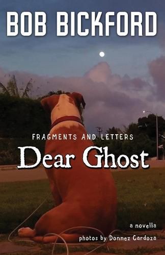 Cover image for Dear Ghost