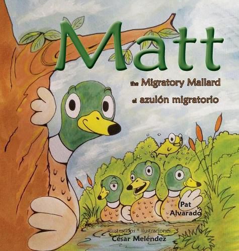 Matt: The Migratory Mallard * el azulon migratorio