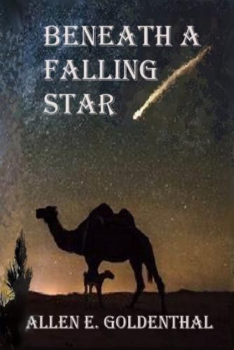 Cover image for Beneath A Falling Star