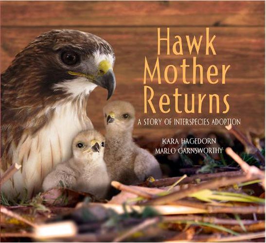 Cover image for Hawk Mother Returns