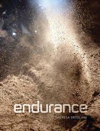 Cover image for Endurance: Down and Dirty Off-Road Racing
