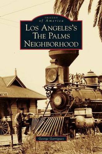 Cover image for Los Angeles's the Palms Neighborhood