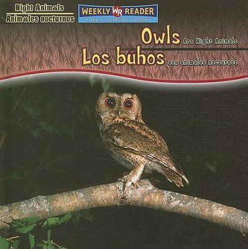 Owls Are Night Animals / Los Buhos Son Animales Nocturnos