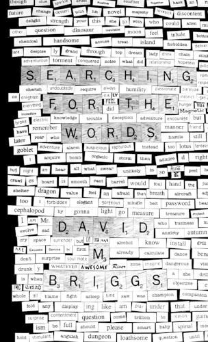 Cover image for Searching for the Words