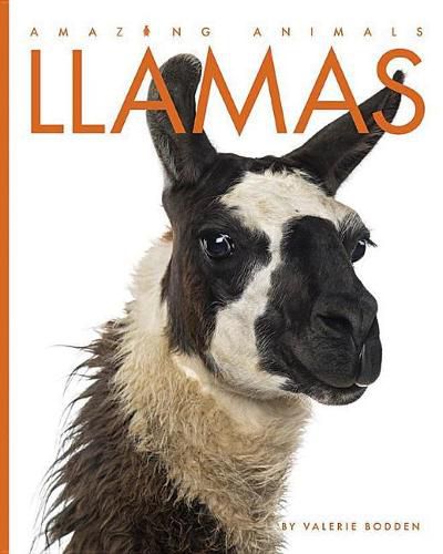 Llamas