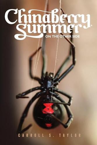 Cover image for Chinaberry Summer: On the Other Side