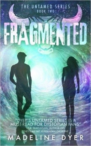 Cover image for Fragmented