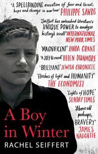 Cover image for A Boy in Winter