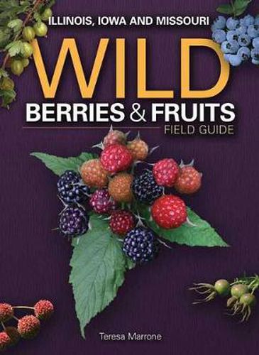 Cover image for Wild Berries & Fruits Field Guide of Illinois, Iowa and Missouri