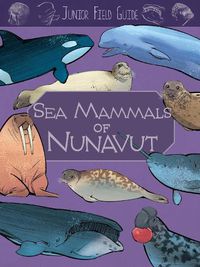 Cover image for Junior Field Guide: Sea Mammals of Nunavut: English Edition