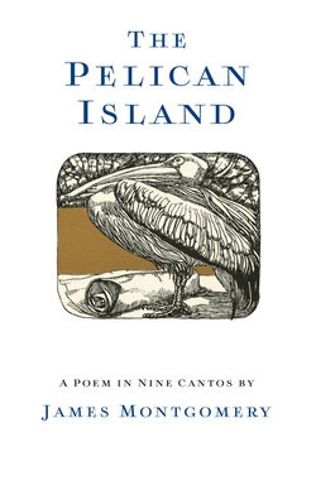 The Pelican Island (Illustrated Edition)