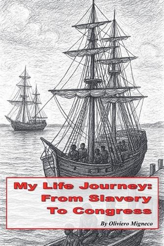 Cover image for From Slavery to Congress