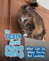 Cover image for The Truth about Cats: What Cats Do When You're Not Looking