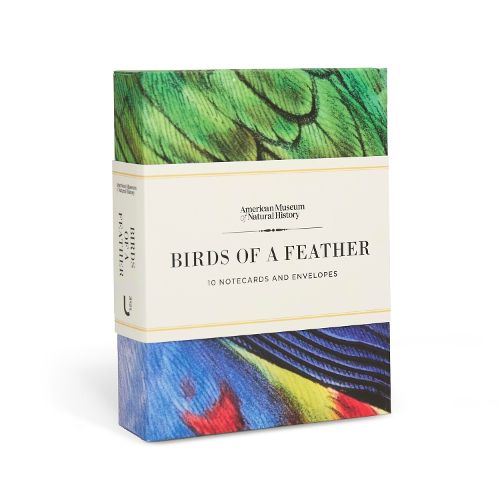 Cover image for Birds of a Feather