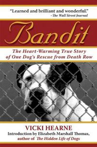 Cover image for Bandit: The Heart-warming True Story of One Dog's Rescue from Death Row