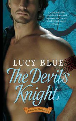 Cover image for The Devil's Knight