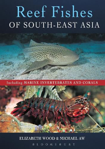 Cover image for Reef Fishes of South-East Asia