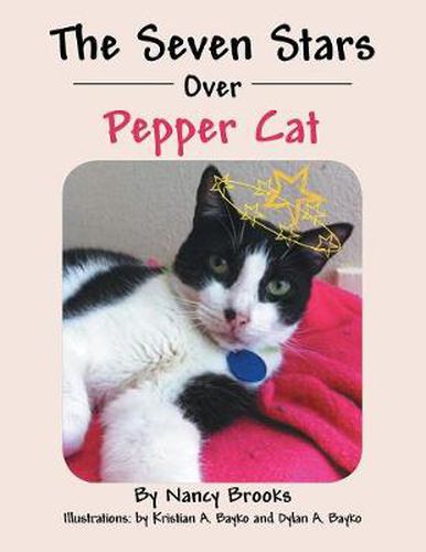 Cover image for The Seven Stars Over Pepper Cat