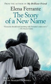 Cover image for The Story of a New Name