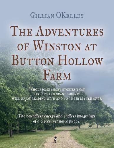 Cover image for The Adventures of Winston at Button Hollow Farm