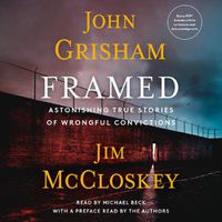 Cover image for Framed