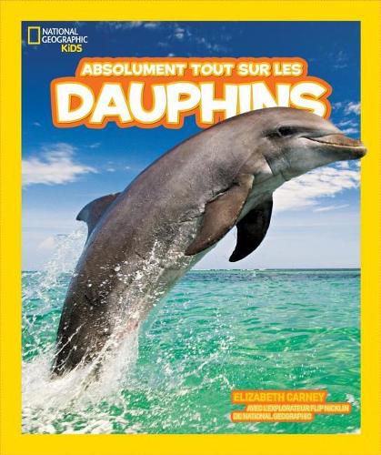 Cover image for Absolument Tout Sur les Dauphins