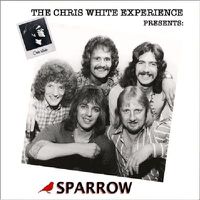 Cover image for The Chris White Experience Presents: Sparrow