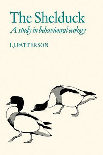 Cover image for The Shelduck: A Study in Behavioural Ecology