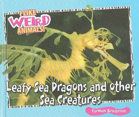 Leafy Sea Dragons and Other Weird Sea Creatures