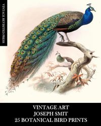 Cover image for Vintage Art: Joseph Smit: 25 Botanical Bird Prints: Ornithology Ephemera for Framing, Home Decor, Collage and Decoupage