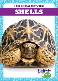 Cover image for Shells