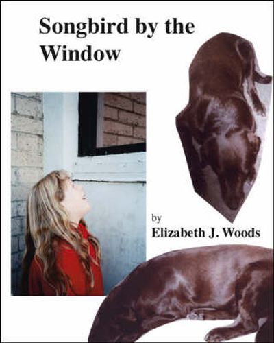 Cover image for Songbird by the Window