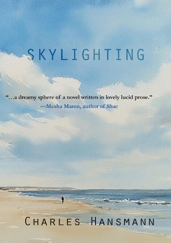 Cover image for Skylighting