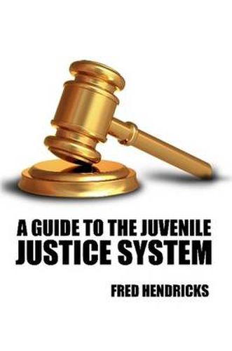 Cover image for A Guide to the Juvenile Justice System