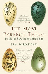 Cover image for The Most Perfect Thing: Inside (and Outside) a Bird's Egg