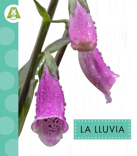 Cover image for La Lluvia