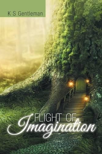 Cover image for Flight of Imagination