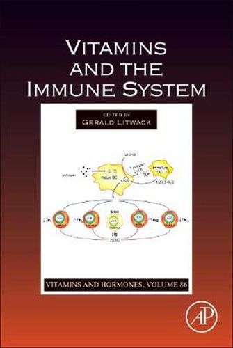 Cover image for Vitamins and the Immune System