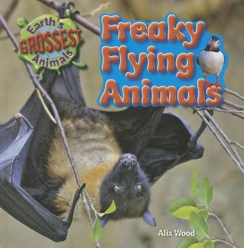 Cover image for Freaky Flying Animals