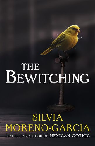 Cover image for The Bewitching